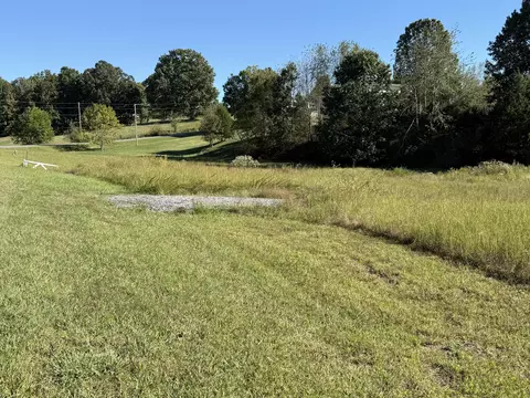 767 Rolling Meadows Rd, Grand Rivers, KY 42045