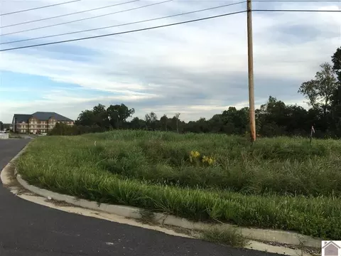 7 Tract Apt Access Rd, Benton, KY 42025