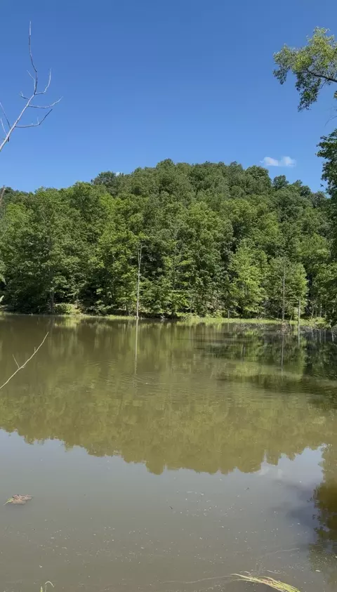 View/Area - 400 Clearfork Rd, Morehead, KY 40351 photo 15 of 16