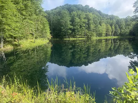 400 Clearfork Rd, Morehead, KY 40351