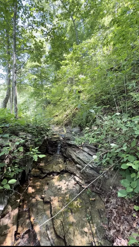 Other - 400 Clearfork Rd, Morehead, KY 40351 photo 16 of 28