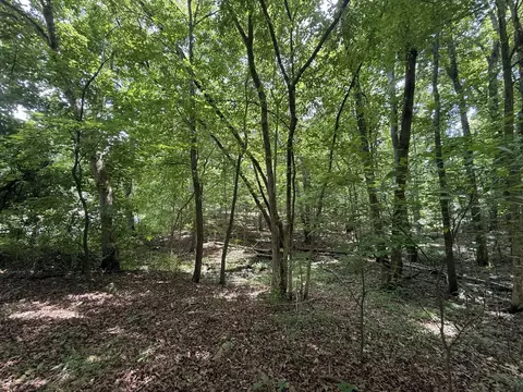 000 Waterway Trl, New Concord, KY 42076