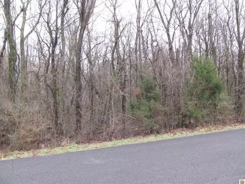 0 0 Rogers Loop, Mayfield, KY 42066 photo 2
