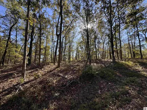 00 Ridge Rd, New Concord, KY 42076