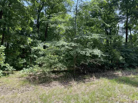 0000 Hawkridge Rd, Murray, KY 42071 photo 9