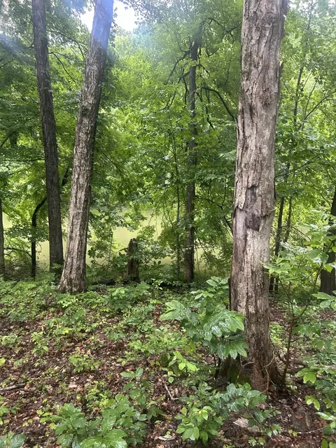 124 Woodfield Estates Dr, Cadiz, KY 42211