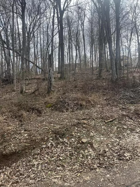 Rockastle Shores Ferrell Circle, Cadiz, KY 42211