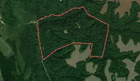 000 Sandy Branch Rd, Bardwell, KY 42023