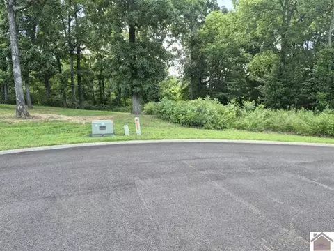 22 Robyn Ln, Benton, KY 42025