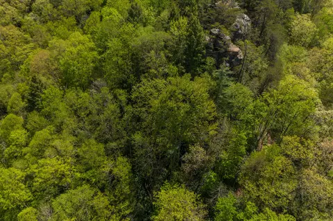 View/Area - 100 Laurel Ln, Stanton, KY 40380 photo 1 of 4