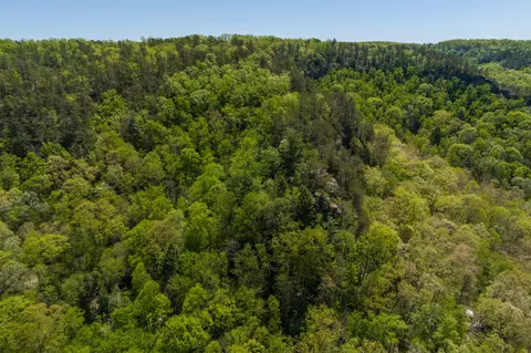 Other - 100 Laurel Ln, Stanton, KY 40380 photo 13 of 17
