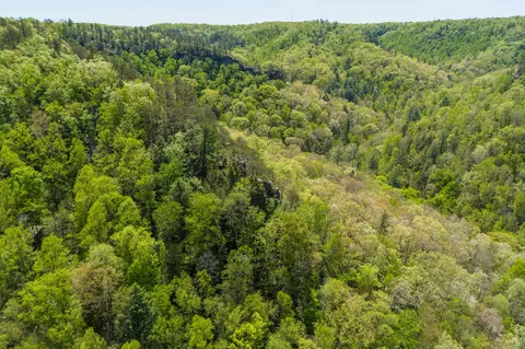 View/Area - 100 Laurel Ln, Stanton, KY 40380 photo 3 of 4