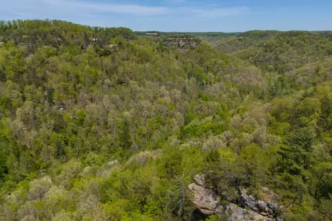 Other - 100 Laurel Ln, Stanton, KY 40380 photo 12 of 17