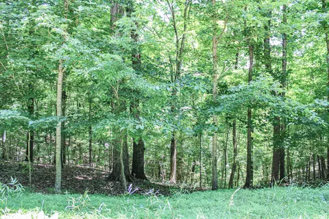 0 Algonquin Rd, Eddyville, KY 42038