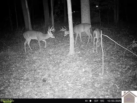 000 Highland Rd, Murray, KY 42071 photo 17