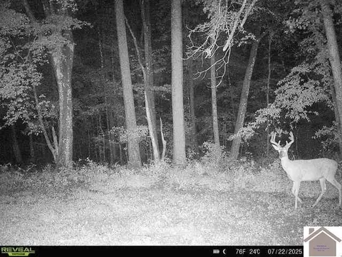 000 Highland Rd, Murray, KY 42071 photo 8