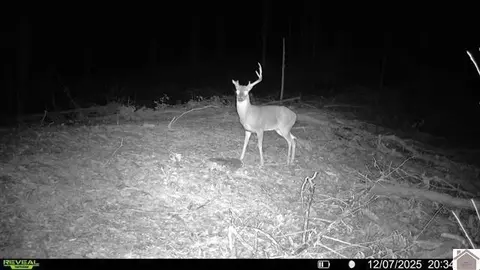 000 Highland Rd, Murray, KY 42071 photo 3