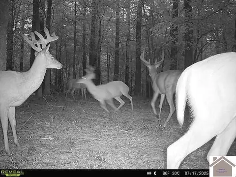 000 Highland Rd, Murray, KY 42071 photo 20