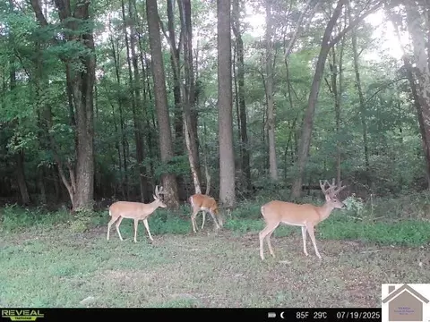 000 Highland Rd, Murray, KY 42071 photo 18