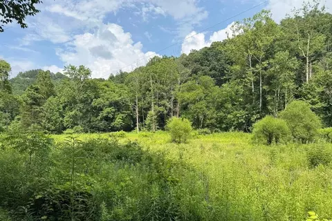 0 Meyers Fork Rd, Denniston, KY 40316