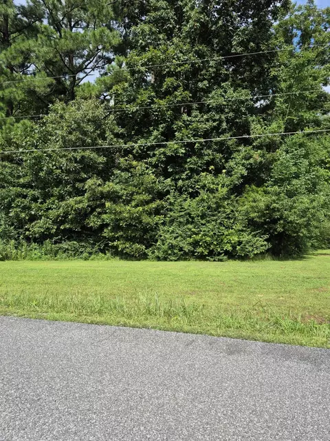 298 Southwood Dr, Gilbertsville, KY 42044