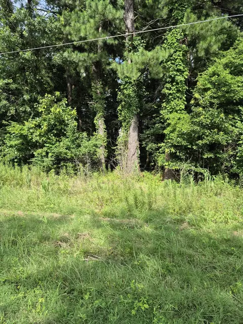 274 Hawkeye Dr, Gilbertsville, KY 42044