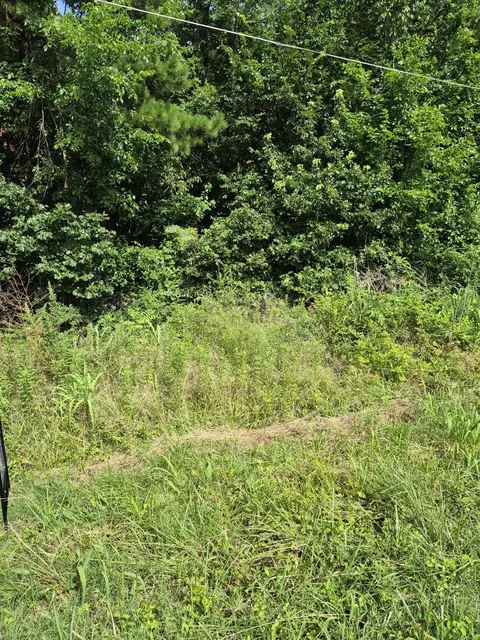 275 Hawkeye Rd, Gilbertsville, KY 42044