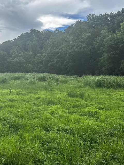 687 H M Garrison Rd, Manchester, KY 40962