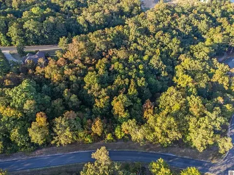 lot47 Dock Dr, Murray, KY 42071 photo 9