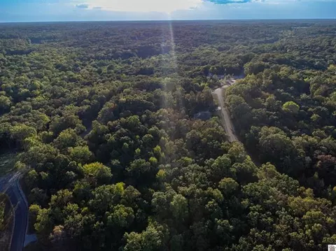lot47 Dock Dr, Murray, KY 42071 photo 13
