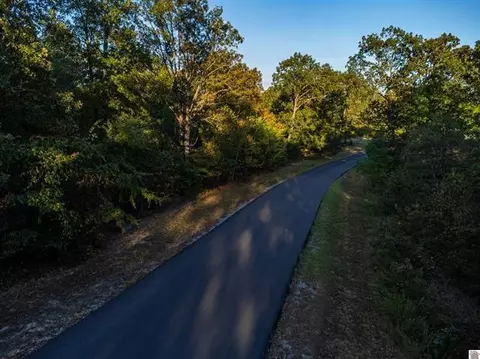 lot47 Dock Dr, Murray, KY 42071 photo 19