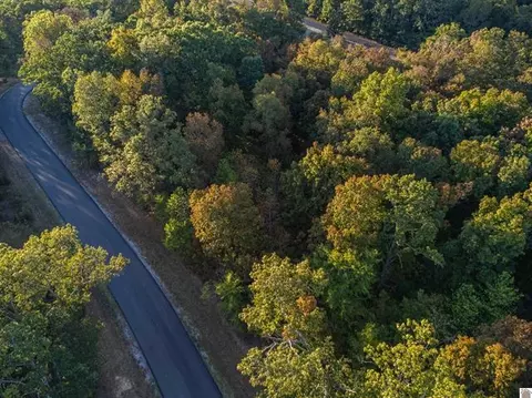 lot47 Dock Dr, Murray, KY 42071 photo 20