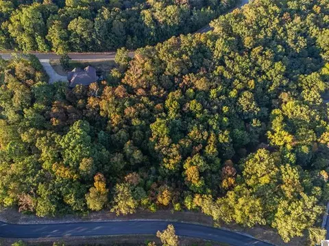 lot47 Dock Dr, Murray, KY 42071 photo 18