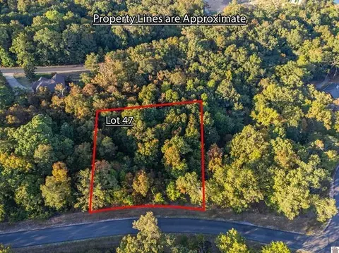 lot47 Dock Dr, Murray, KY 42071 photo 10