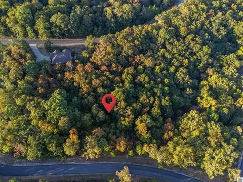 lot47 Dock Dr, Murray, KY 42071 photo 17