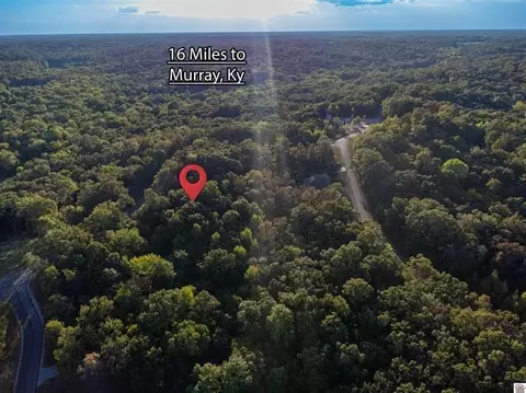 lot47 Dock Dr, Murray, KY 42071 photo 14