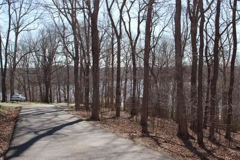 lot42 And Lot 43 Lisanby Rd, Eddyville, KY 42038