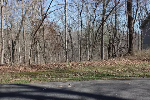 lot54 And Lot 55 Lisanby Rd, Eddyville, KY 42038