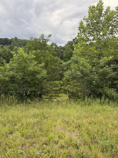0000 0000 Mathis Rd, Mckee, KY 40447 photo 36