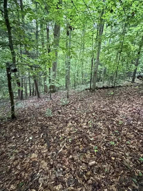 0000 0000 Mathis Rd, Mckee, KY 40447 photo 50