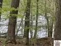 000 Motley Cir, Eddyville, KY 42038