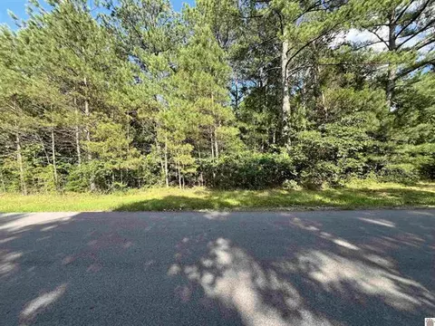 96 Briarfield Road # 2, Murray, KY 42071 photo 2
