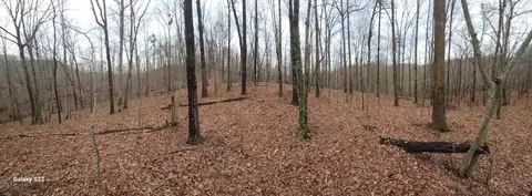 Other - 3504 E Fork Rd, Means, KY 40346 photo 1 of 7