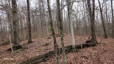 Other - 3504 E Fork Rd, Means, KY 40346 photo 5 of 7