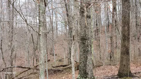 Exterior - 3504 E Fork Rd, Means, KY 40346 photo 4 of 4