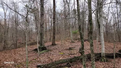 Exterior - 3504 E Fork Rd, Means, KY 40346 photo 1 of 4
