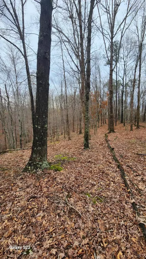 Other - 3504 E Fork Rd, Means, KY 40346 photo 3 of 7