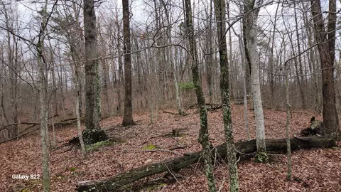 Other - 3504 E Fork Rd, Means, KY 40346 photo 4 of 7