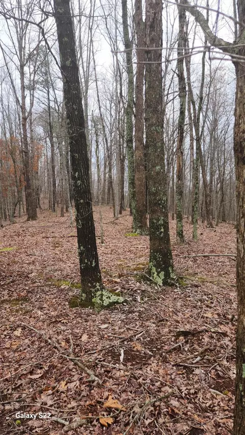 Exterior - 3504 E Fork Rd, Means, KY 40346 photo 3 of 4