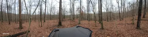 Other - 3504 E Fork Rd, Means, KY 40346 photo 2 of 7